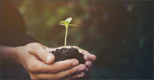 CORPORATE SOCIAL RESPONSIBILITY - Environnemental