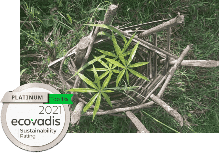 Responsabilité sociétale de HN Services – EcoVadis 2021